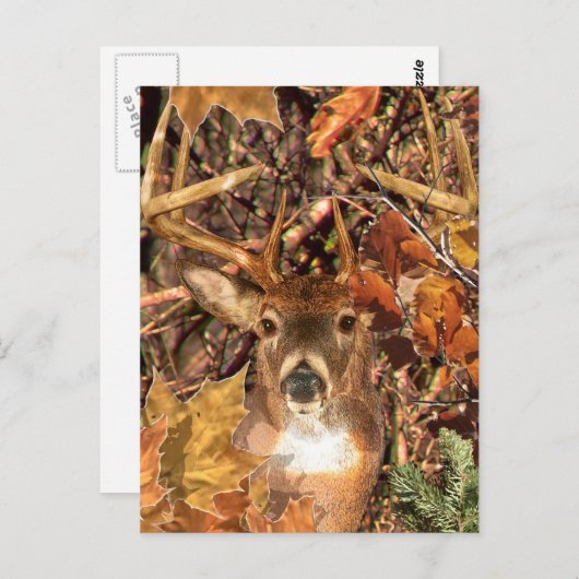 Buck in Camo White Tail Deer Briefkaart (Voorkant / Achterkant)
