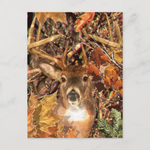 Buck in Camo White Tail Deer Briefkaart