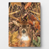 Buck in Camo White Tail Deer Fotoplaat (voorkant)
