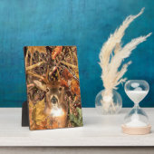 Buck in Camo White Tail Deer Fotoplaat (Zijkant)