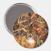 Buck in Camo White Tail Deer Magneet (Voorkant / Achterkant)