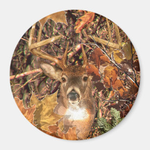 Buck in Camo White Tail Deer Magneet