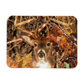 Buck in Camo White Tail Deer Magneet (Horizontaal)