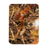 Buck in Camo White Tail Deer Magneet (Verticaal)