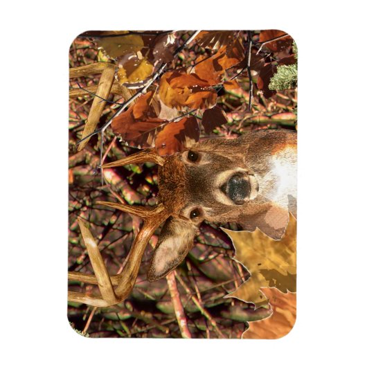 Buck in Camo White Tail Deer Magneet (Verticaal)