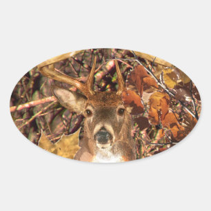 Buck in Camo White Tail Deer Ovale Sticker