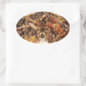 Buck in Camo White Tail Deer Ovale Sticker (Tas)