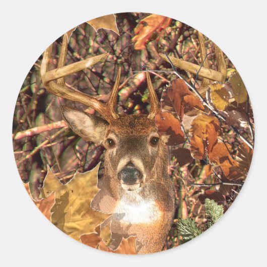 Buck in Camo White Tail Deer Ronde Sticker (Voorkant)