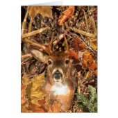Buck in Camouflage White Tail Deer (Voorkant)