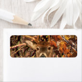 Buck in Camouflage White Tail Deer Etiket (Insitu)