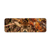 Buck in Camouflage White Tail Deer Etiket (Voorkant)