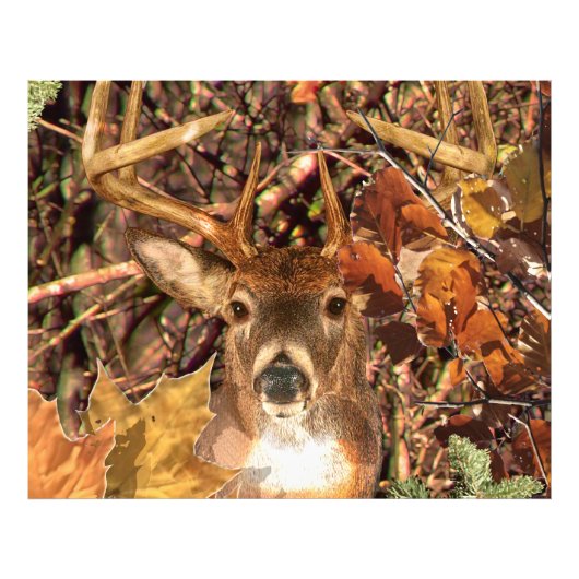 Buck in Camouflage White Tail Deer Foto Afdruk (Voorkant)