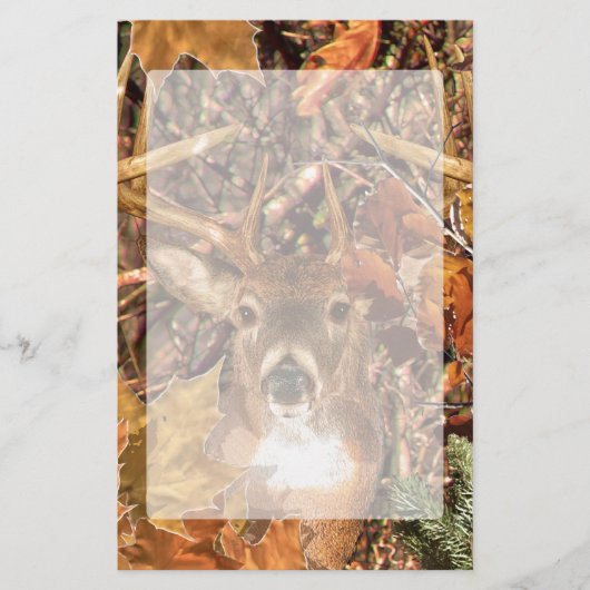 Buck in Herfst Camo White Tail Deer Briefpapier (Voorkant)