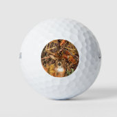 Buck in Herfst Camo White Tail Deer Golfballen (Voorkant)