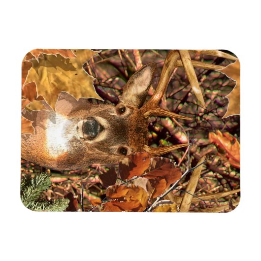Buck in Herfst Camo White Tail Deer Magneet (Horizontaal)