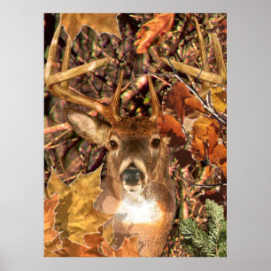 Buck in Herfst Camo White Tail Deer Poster