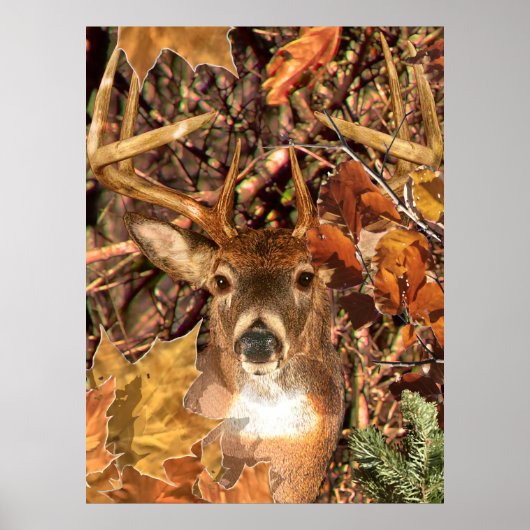 Buck in Herfst Camo White Tail Deer Poster (Voorkant)