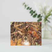 Buck in Hunter Camo White Tail Deer Briefkaart (Staand voorkant)
