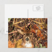 Buck in Hunter Camo White Tail Deer Briefkaart (Voorkant / Achterkant)