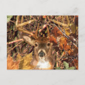 Buck in Hunter Camo White Tail Deer Briefkaart (Voorkant)