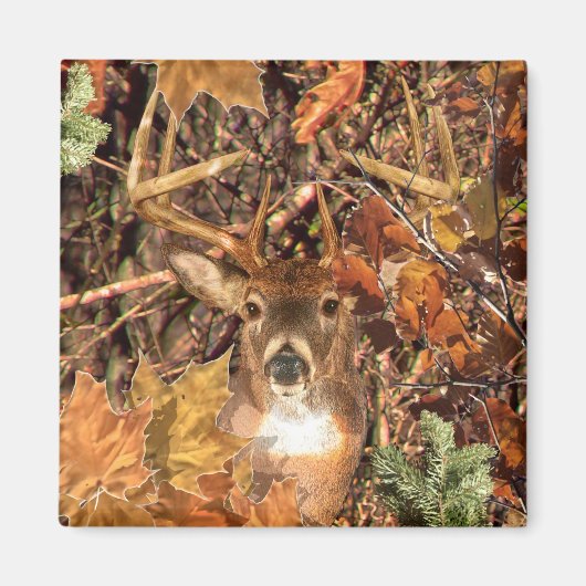 Buck in Hunter Camo White Tail Deer Magneet (Voorkant)
