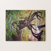 Buck in Richmond Park - 11x14 - 252 stuks Legpuzzel (Horizontaal)