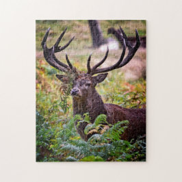 Buck in Richmond Park - 11x14 - 252 stuks Legpuzzel