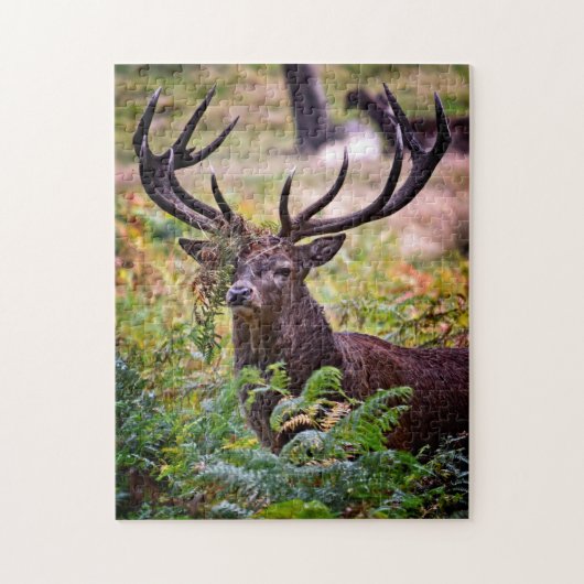Buck in Richmond Park - 11x14 - 252 stuks Legpuzzel (Verticaal)