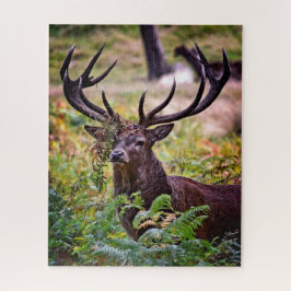 Buck in Richmond Park - 16x20 - 520 stuks Legpuzzel
