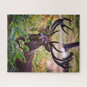 Buck in Richmond Park - 16x20 - 520 stuks Legpuzzel (Horizontaal)