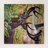 Buck in Richmond Park - 20x20 - 676 stuks Legpuzzel (Horizontaal)