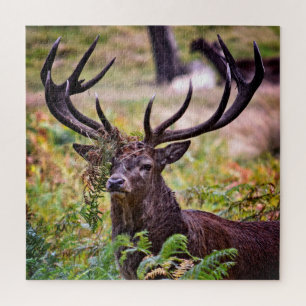 Buck in Richmond Park - 20x20 - 676 stuks Legpuzzel