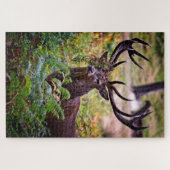 Buck in Richmond Park - 20x30 - 1014 stuks Legpuzzel (Horizontaal)