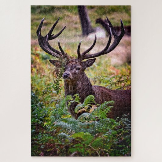 Buck in Richmond Park - 20x30 - 1014 stuks Legpuzzel (Verticaal)