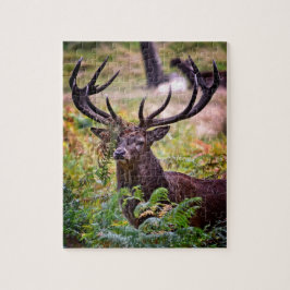 Buck in Richmond Park - 8x10 - 110 stuks Legpuzzel