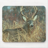 Buck in the Grass Muismat (Voorkant)