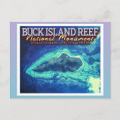 BUCK ISLAND REEF - VIRGIN ISLANDS VERENIGDE STATEN BRIEFKAART (Voorkant)