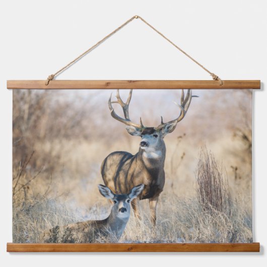 Buck Koppel | Muildier Hangend Wandkleed (Voorkant)