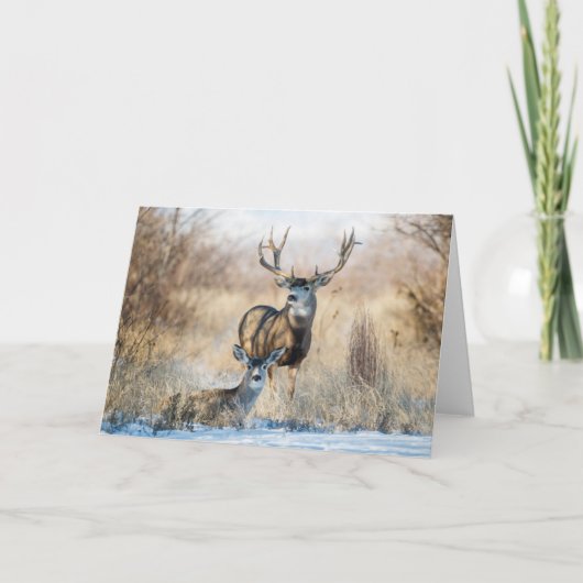 Buck Koppel | Muildier Kaart (Voorkant)