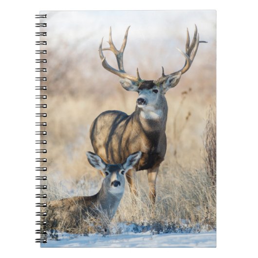 Buck Koppel | Muildier Notitieboek (Voorkant)