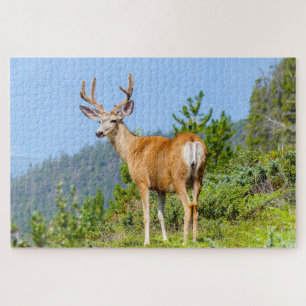 Buck Legpuzzel