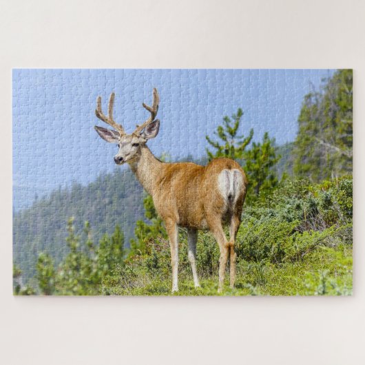 Buck Legpuzzel (Horizontaal)