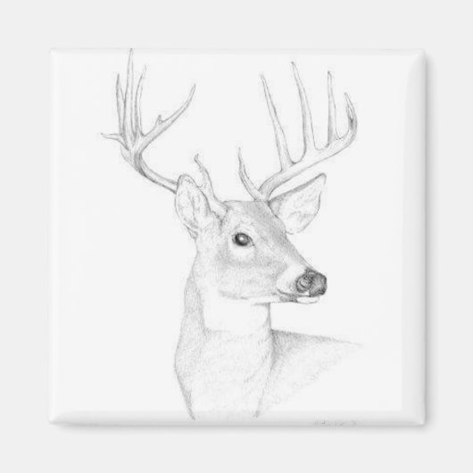 Buck Magneet (Voorkant)