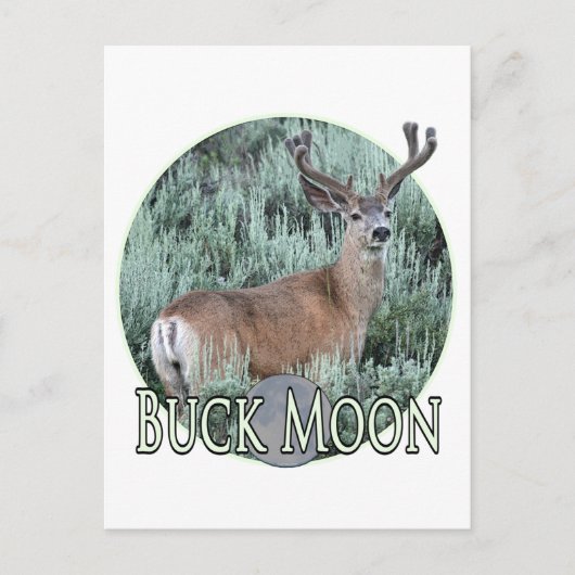 Buck moon briefkaart (Voorkant)