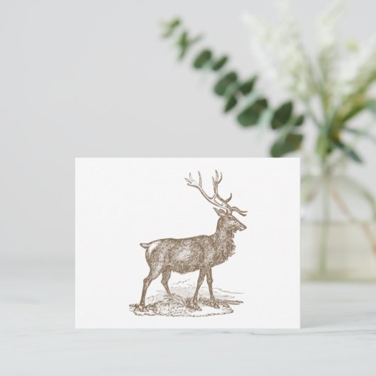 Buck Mule Deer Letterpress Style Briefkaart (Staand voorkant)