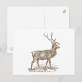 Buck Mule Deer Letterpress Style Briefkaart (Voorkant / Achterkant)