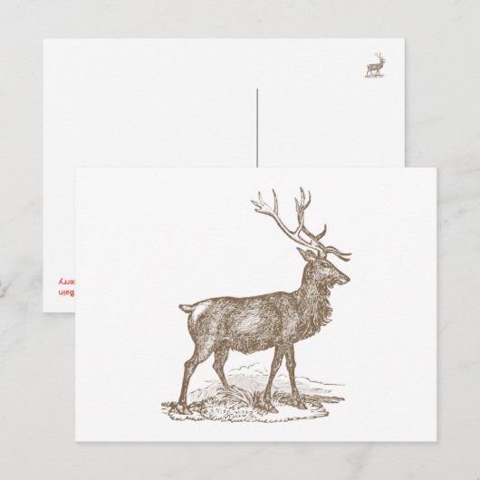 Buck Mule Deer Letterpress Style Briefkaart (Voorkant / Achterkant)