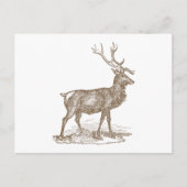 Buck Mule Deer Letterpress Style Briefkaart (Voorkant)