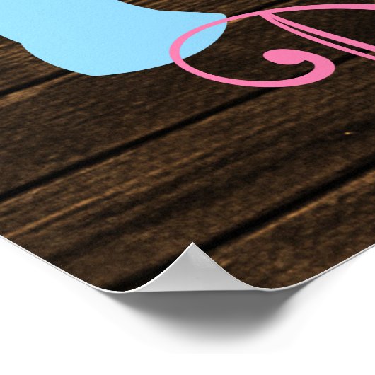 Buck of Doe Gender onthullen Party Banner Poster (Hoek)