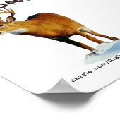 Buck off! Post het... Poster (Hoek)